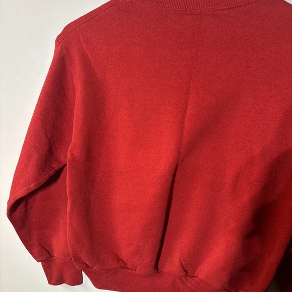 VTG Detroit Red Wings Sweatshirt Youth 10-12 NHL Made in USA 50/50‎ Distressed - Picture 13 of 14